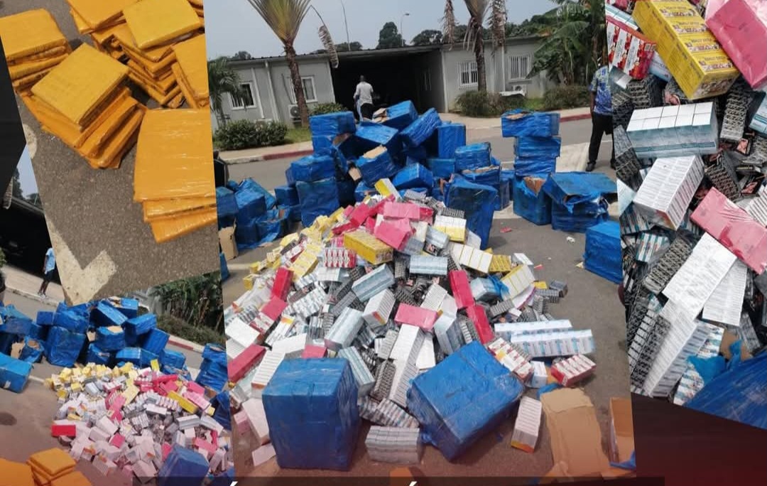 cote-divoire-operation-epervier-10-la-dpsd-frappe-fort-avec-une-saisie-de-25-kg-de-cannabis-a-modeste-potokro