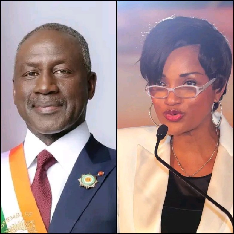 cote-divoire-conflit-foncier-snedai-de-bictogo-condamnee-a-payer-6-milliards-de-fcfa-a-martine-coffi-studer-bollore