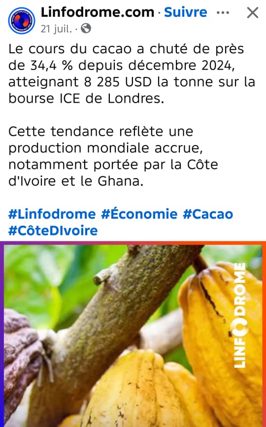 Image 12 de l'article