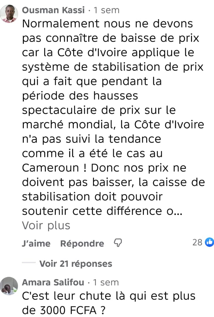 Image 13 de l'article