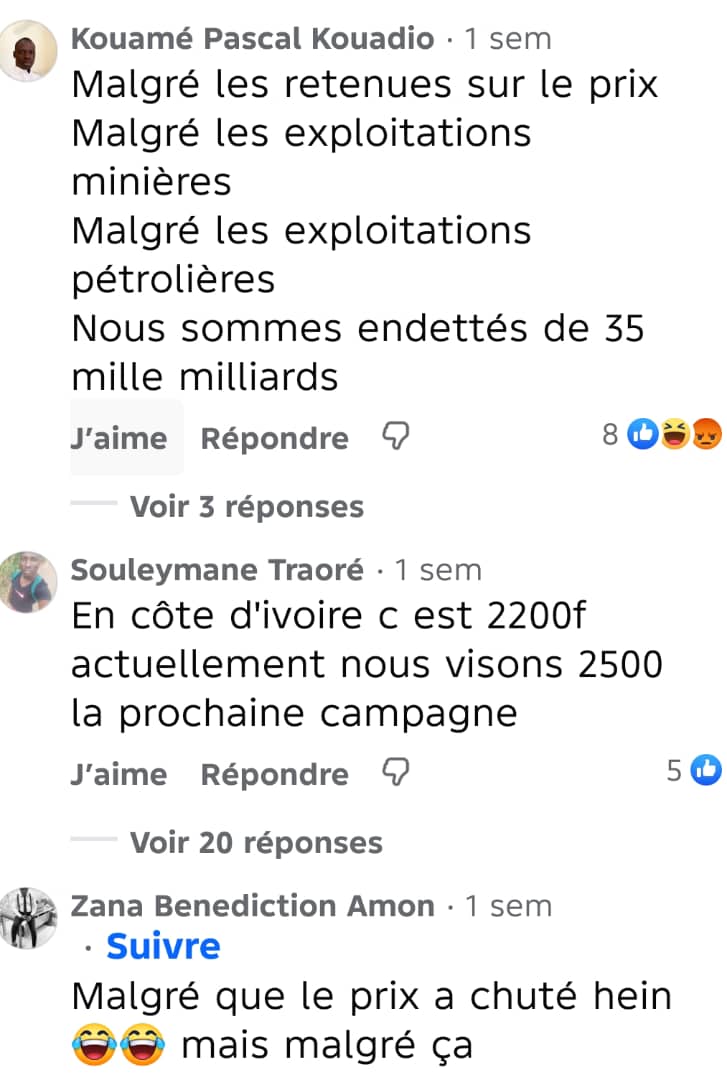 Image 14 de l'article