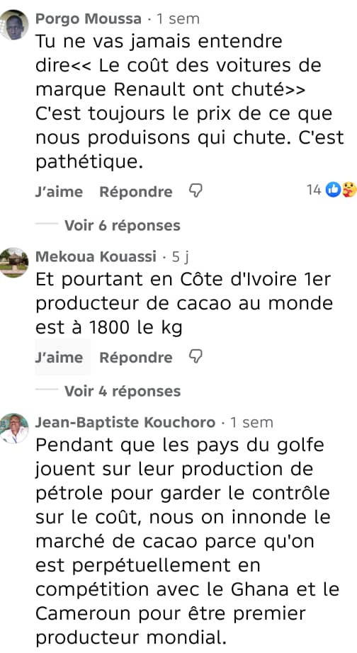 Image 15 de l'article