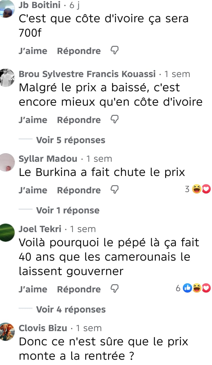 Image 16 de l'article