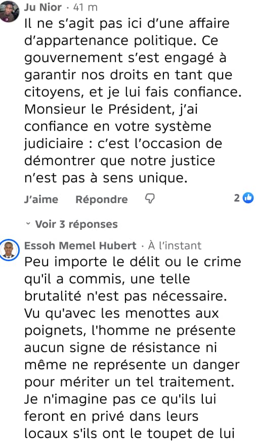 Image 16 de l'article